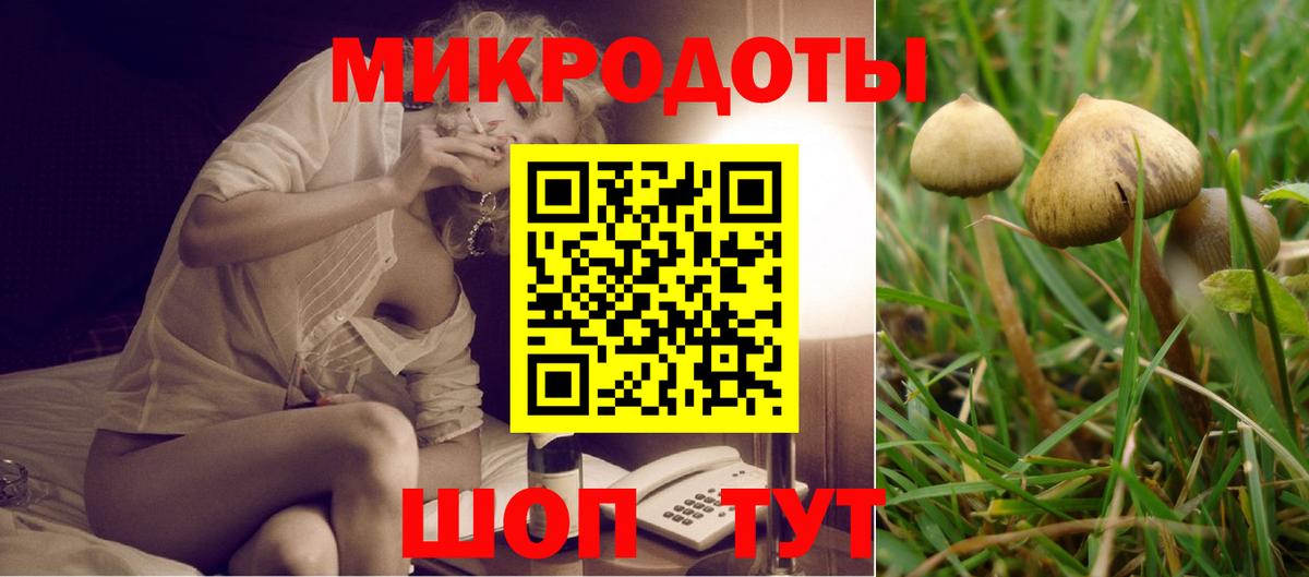 Галлюциногенные грибы Cubensis Гусев