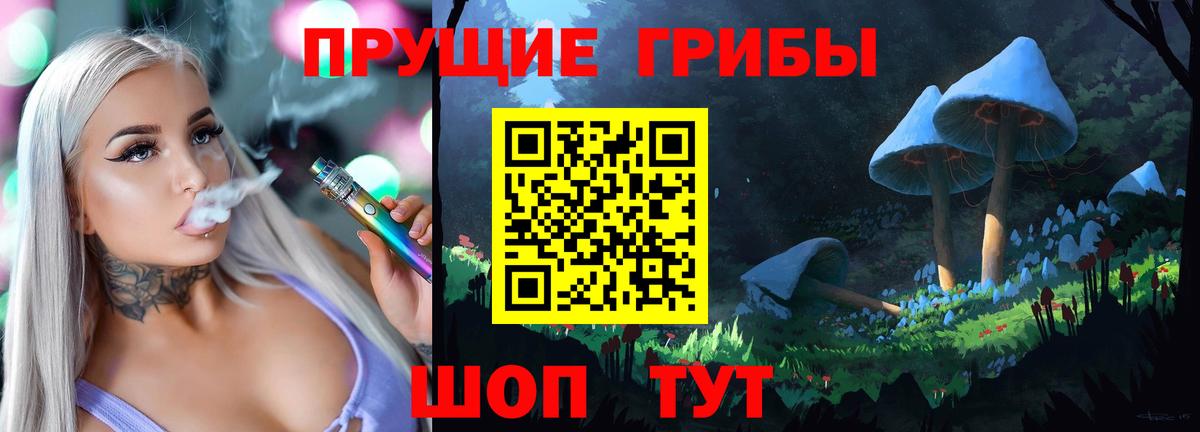 Гусев  где купить наркоту  Вход с VPN  Галлюциногенные грибы Psilocybine cubensis 